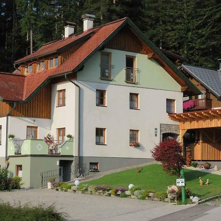 Apartments Egger Barbara Гозау Екстериор снимка